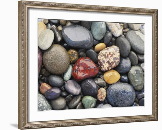 Wet Pebbles, Ruby Beach, Olympic National Park, Washington, Usa Coast-Stuart Westmoreland-Framed Photographic Print