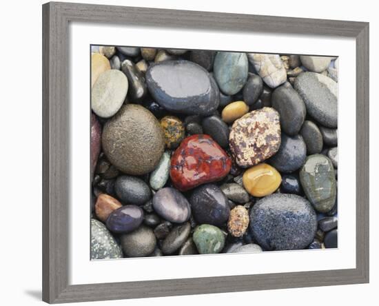 Wet Pebbles, Ruby Beach, Olympic National Park, Washington, Usa Coast-Stuart Westmoreland-Framed Photographic Print