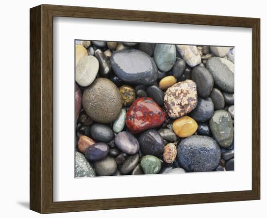 Wet Pebbles, Ruby Beach, Olympic National Park, Washington, Usa Coast-Stuart Westmoreland-Framed Photographic Print