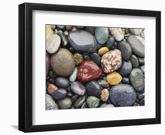 Wet Pebbles, Ruby Beach, Olympic National Park, Washington, Usa Coast-Stuart Westmoreland-Framed Photographic Print