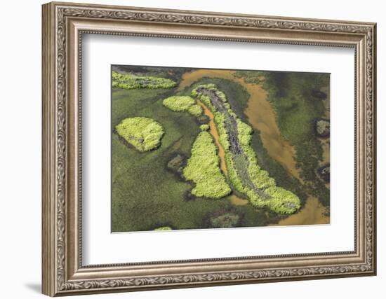 Wetland East, Guyana-Pete Oxford-Framed Photographic Print