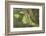 Wetland East, Guyana-Pete Oxford-Framed Photographic Print