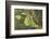 Wetland East, Guyana-Pete Oxford-Framed Photographic Print