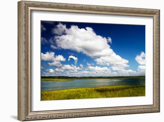 Wetland Herons I-Alan Hausenflock-Framed Photo