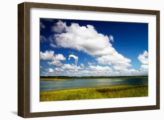 Wetland Herons I-Alan Hausenflock-Framed Photo