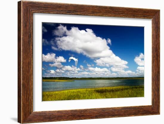 Wetland Herons I-Alan Hausenflock-Framed Photo