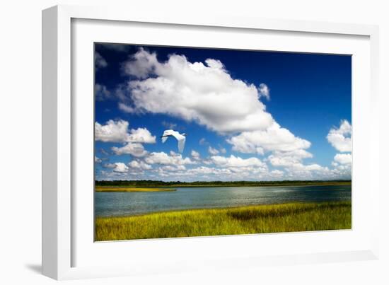 Wetland Herons I-Alan Hausenflock-Framed Photo