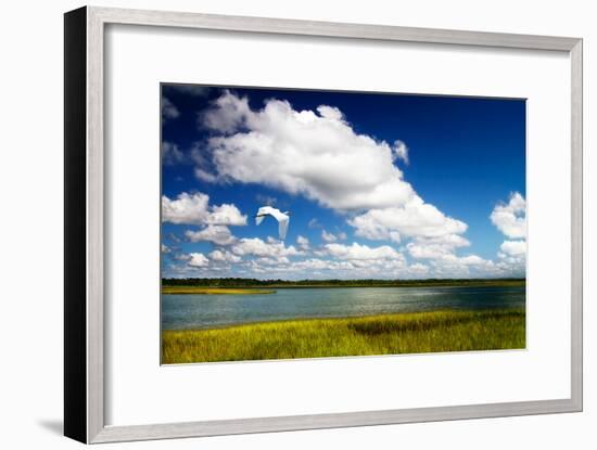 Wetland Herons I-Alan Hausenflock-Framed Photo