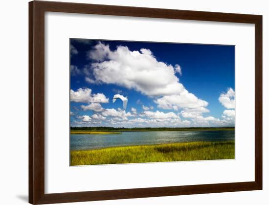 Wetland Herons I-Alan Hausenflock-Framed Photo