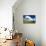 Wetland Herons I-Alan Hausenflock-Mounted Photo displayed on a wall