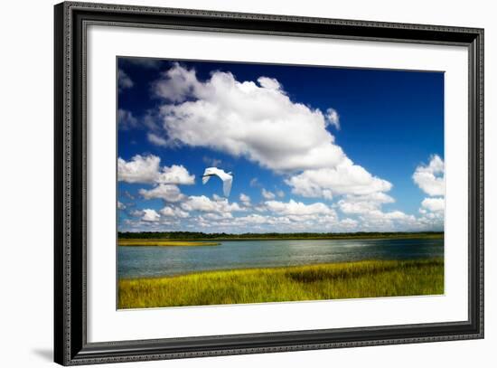 Wetland Herons I-Alan Hausenflock-Framed Photo