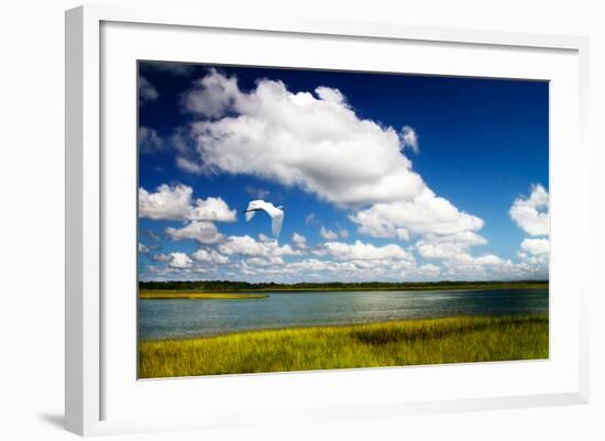 Wetland Herons I-Alan Hausenflock-Framed Photo