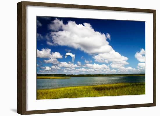 Wetland Herons I-Alan Hausenflock-Framed Photo