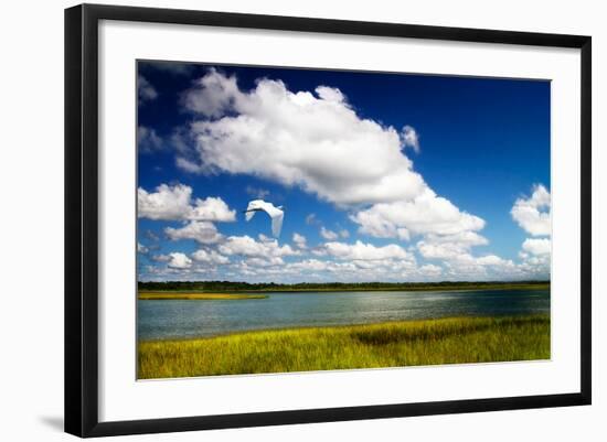 Wetland Herons I-Alan Hausenflock-Framed Photo