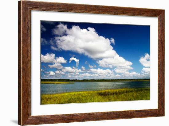 Wetland Herons I-Alan Hausenflock-Framed Photo