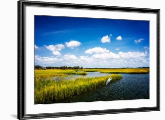 Wetland Herons II-Alan Hausenflock-Framed Photo