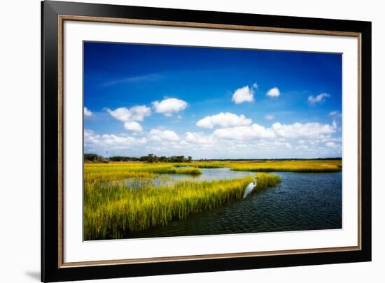 Wetland Herons II-Alan Hausenflock-Framed Photo