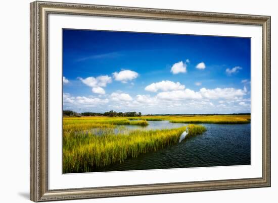 Wetland Herons II-Alan Hausenflock-Framed Photo