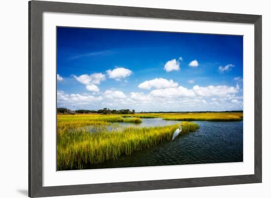 Wetland Herons II-Alan Hausenflock-Framed Photo