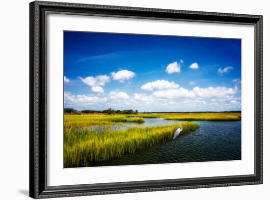 Wetland Herons II-Alan Hausenflock-Framed Photo