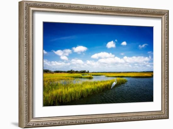 Wetland Herons II-Alan Hausenflock-Framed Photo