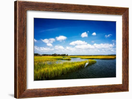 Wetland Herons II-Alan Hausenflock-Framed Photo