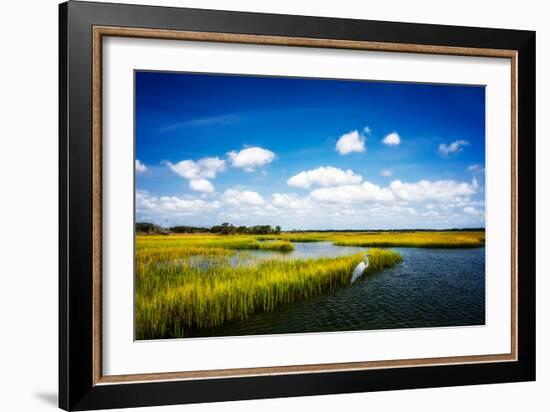 Wetland Herons II-Alan Hausenflock-Framed Photo