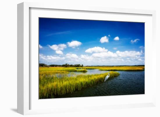 Wetland Herons II-Alan Hausenflock-Framed Photo