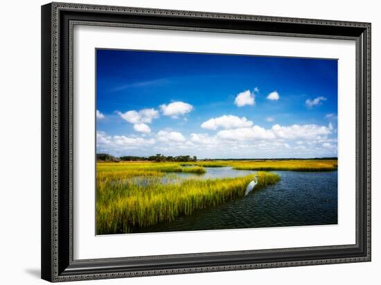 Wetland Herons II-Alan Hausenflock-Framed Photo