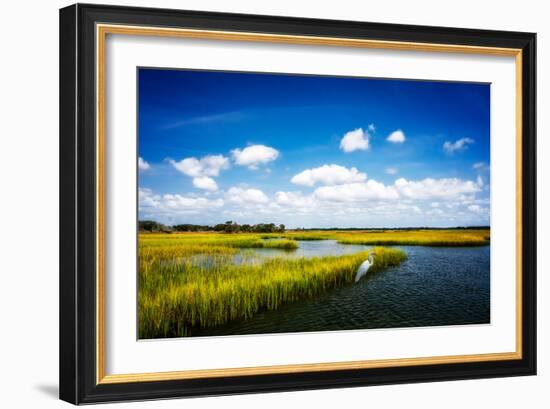 Wetland Herons II-Alan Hausenflock-Framed Photo