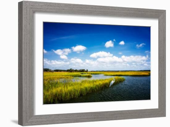 Wetland Herons II-Alan Hausenflock-Framed Photographic Print