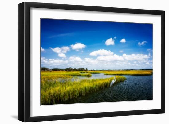 Wetland Herons II-Alan Hausenflock-Framed Photographic Print