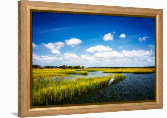 Wetland Herons II-Alan Hausenflock-Framed Stretched Canvas