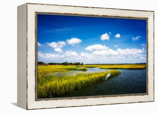 Wetland Herons II-Alan Hausenflock-Framed Stretched Canvas