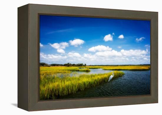Wetland Herons II-Alan Hausenflock-Framed Stretched Canvas