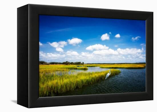 Wetland Herons II-Alan Hausenflock-Framed Stretched Canvas