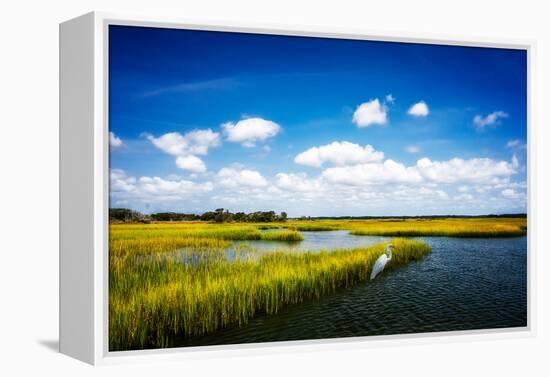 Wetland Herons II-Alan Hausenflock-Framed Stretched Canvas