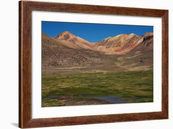 Wetland in the Atacama-JeremyRichards-Framed Photographic Print