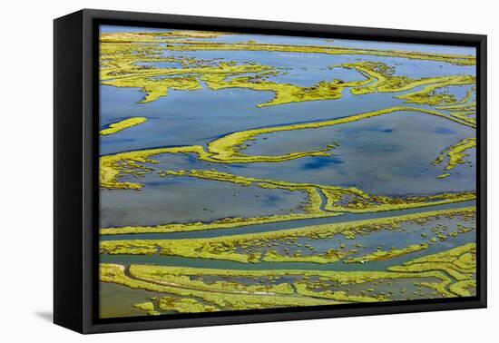 Wetland on the Aegean coast, Turkey.-Ali Kabas-Framed Premier Image Canvas