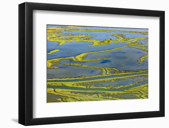 Wetland on the Aegean coast, Turkey.-Ali Kabas-Framed Photographic Print