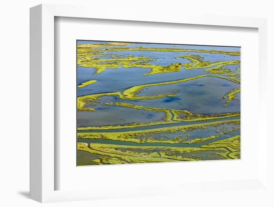 Wetland on the Aegean coast, Turkey.-Ali Kabas-Framed Photographic Print