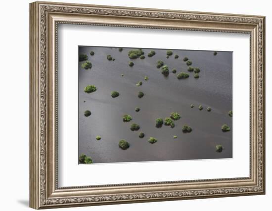 Wetland Shell Beach, North Guyana-Pete Oxford-Framed Photographic Print