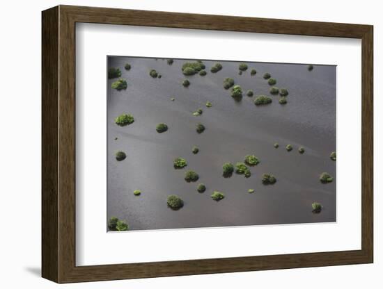 Wetland Shell Beach, North Guyana-Pete Oxford-Framed Photographic Print