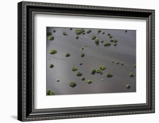 Wetland Shell Beach, North Guyana-Pete Oxford-Framed Photographic Print