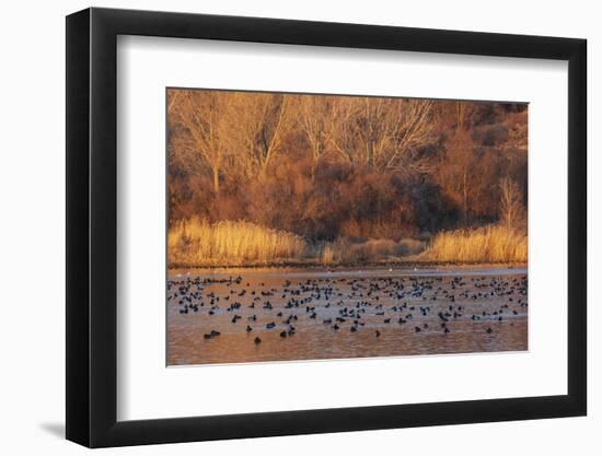 Wetland sunset-Ken Archer-Framed Photographic Print
