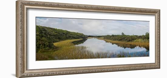 Wetlands at Ship Creek Park, Haast, Westland District, West Coast, South Island, New Zealand-null-Framed Photographic Print