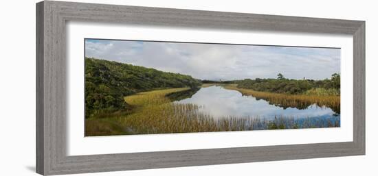 Wetlands at Ship Creek Park, Haast, Westland District, West Coast, South Island, New Zealand-null-Framed Photographic Print