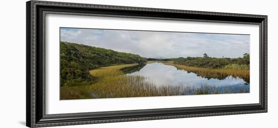 Wetlands at Ship Creek Park, Haast, Westland District, West Coast, South Island, New Zealand-null-Framed Photographic Print