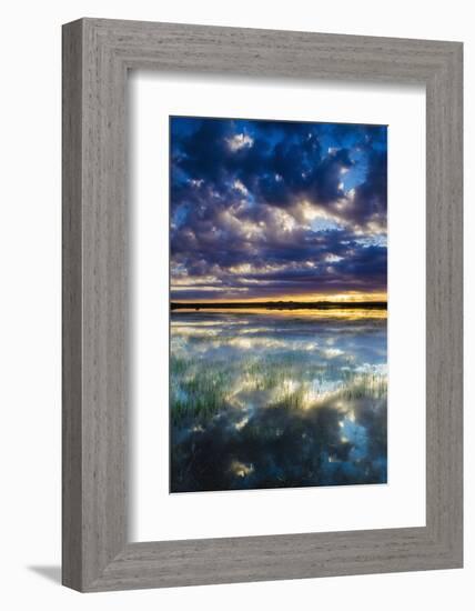 Wetlands at Sunrise, Bosque Del Apache National Wildlife Refuge, New Mexico, Usa-Russ Bishop-Framed Photographic Print