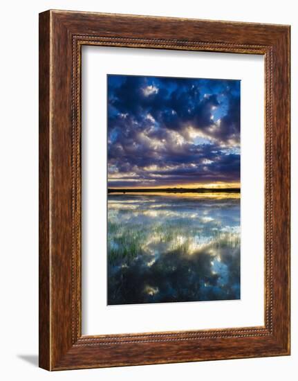 Wetlands at Sunrise, Bosque Del Apache National Wildlife Refuge, New Mexico, Usa-Russ Bishop-Framed Photographic Print
